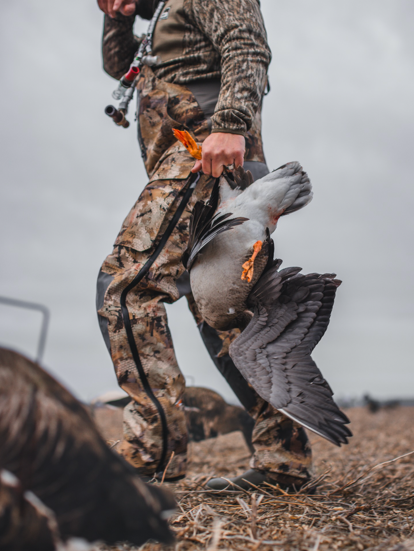RAFFLE TICKET- Goose Hunt with Eaglehead Outdoors